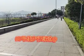 我们要不断改进自己的不足，发挥我们的优势，以取得更大的成就。视频封面