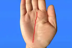 手相玉柱纹视频封面