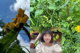 甘肃这里的土方言能笑死人，是否与你那里的方言一样你能听懂几句