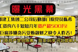成都建工集团二司原党员陈希自曝贪污大额财产来源不明@头条帮忙视频封面