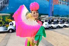 周总理誉为东方芭蕾的花鼓灯之兰花女•中国非遗视频封面
