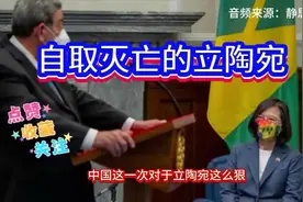 惩戒立陶宛，痛快人心！视频封面