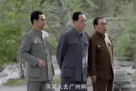 刘邓大军奉命入川解放大西南#解放战争#解放四川#解放大西南视频封面