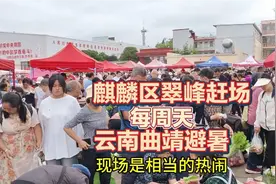 曲靖主城区最大的露天赶场地，每周一次，川渝避暑大军蜂拥而至！视频封面
