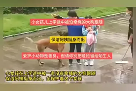 保洁阿姨挺身而出 保护被大狗跟随的小女孩 三问没有牵绳的狗主人视频封面