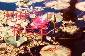 地球之上 徐彦君