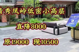 青秀凤岭低密小高层直降8000  原19000  现1050视频封面