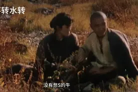 还记得这首歌曲《山不转水转》吗？那英经典之作视频封面