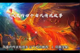 凤凰的四个古代传说故事1凤凰涅槃2堕风穴3凤舞九天4鸟儿投诉凤凰视频封面