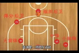 篮球1-5号位分别是什么视频封面