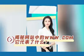 揭秘网站中的WWW.COM：它代表了什么？独立站怎么选域名？
