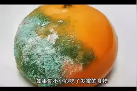 如果你不小心吃了发霉的食物如何解绝