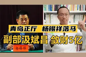 山东打虎！青岛政协原副主席杨锡祥被查！汲斌昌已落马，敛财5亿视频封面