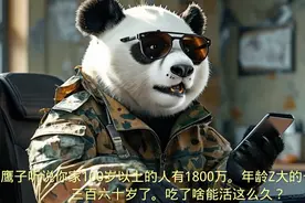 熊猫：鹰子你家100岁以上的人有1800万？吃啥长大的这么长寿？视频封面
