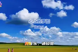 《心上的罗加》静心纯音乐欣赏 声声入耳真好听值得观赏收藏视频封面