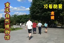 难以想想，地表温度七八十度，人们还蜂拥而至，看什么呢视频封面