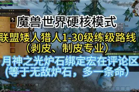 魔兽世界硬核模式联盟矮人猎人1-30级练级路线剥皮、制皮专业视频封面