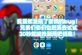 一个能快速找FM密钥的Bug，我30秒就找到了两把钥匙！