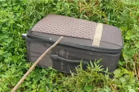 小伙河道草丛内发现被丢弃的行李箱，打开后看看里面都是什么？视频封面