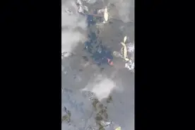 恍然大悟！原来蝌蚪是肉食性的小动物呀视频封面