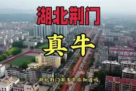 湖北荆门真是牛，华中地区重要交通枢纽，荆楚门户，城市荣誉众多