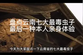 云南七大最毒虫子，最后一种本人亲身体验视频封面