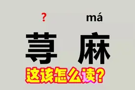 “荨麻”不读（xún má），饕餮、豇豆、兖州）该怎么读？
