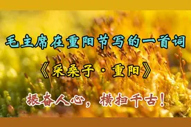 毛主席在重阳节写的一首词《采桑子·重阳》振奋人心横扫千古！视频封面