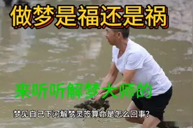 解梦大全，梦里是福还是祸视频封面