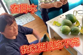 日本种西瓜太简单，一棵结7、8个，姥姥拿了锻炼大小正合适视频封面