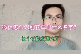 微信怎么识别花草叫什么名字？原来方法那么简单，太实用了！视频封面