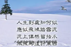 人生到处知何似，应似飞鸿踏雪泥——北宋·苏轼《和子由渑池怀旧视频封面