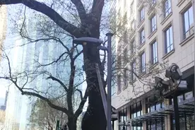北京颂：平均寿命居全国第二，高建国前二点四倍，朝高寿城迈进！视频封面