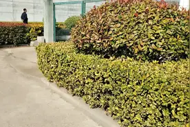 国防教育基地一日游视频封面