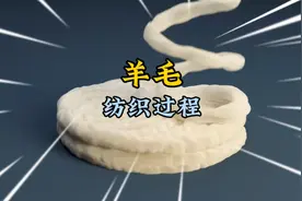 羊毛的纺织过程，羊毛是如何变成毛衣的呢？#机械原理 #机械动画