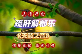 疏肝解郁乐《天籁之音》疏肝解郁，调整情绪，愉悦心情，身心减压视频封面