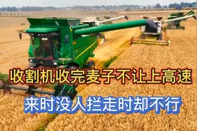 收割机收完麦子不让上高速，工作人员：没人请你们来，让来不让走视频封面