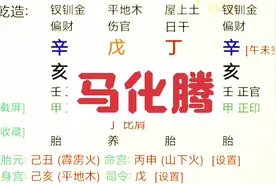 马化腾八子视频封面