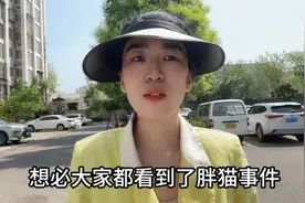 “胖猫”跳江网友点外卖祭奠，被曝很多外卖是空包，华莱士回应了视频封面