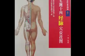 实测十四经脉图视频封面