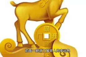 #生肖属羊人的幸运色和禁忌色2视频封面