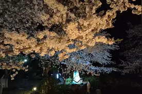 上海外滩最美地铁站视频封面