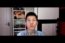 鲤鱼版把回忆拼好给你。