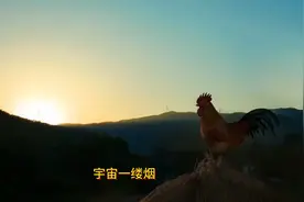 《很累》&张萨