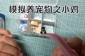 模拟养宠物之小鸡来啦视频封面