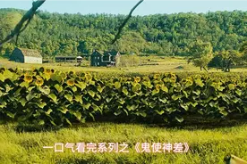 一口气看完系列之《鬼使神差》视频封面