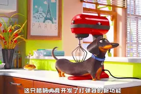 主人不在家宠物开始放飞自我，相信我看完这部动漫可以治愈你一整