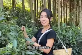 为了父辈当年定下的娃娃亲对象，开车2000公里来找她视频封面