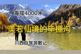海拔4000米的高度 川西小瑞士 美若仙境的毕棚沟 川西自驾游散记视频封面