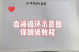 血液循环示意图，你还在发愁不好画吗？快收下这份保姆级别教程！